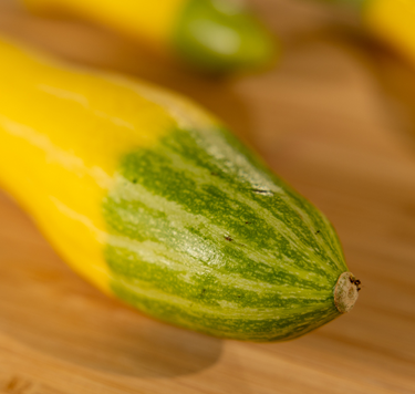 Zephyr Hybrid Summer Squash Seeds